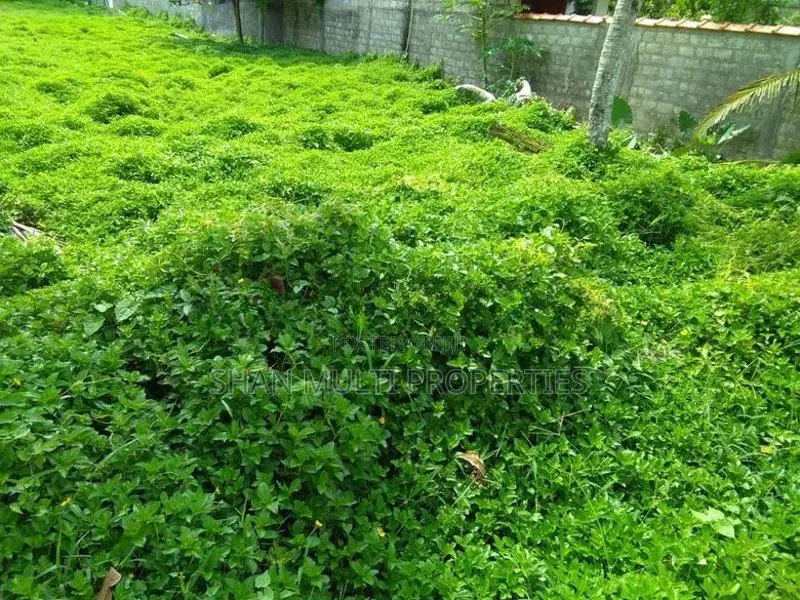 Land for Sale in Ratmalana