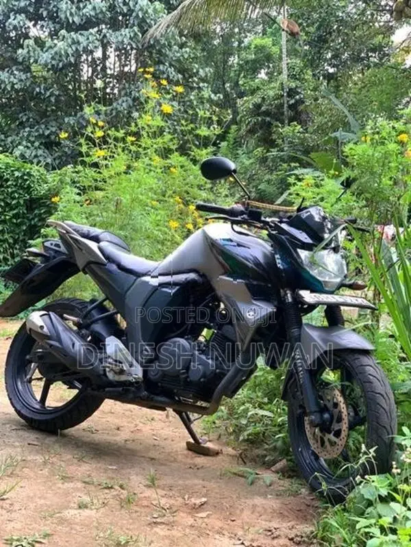 Yamaha FZs V2 2018
