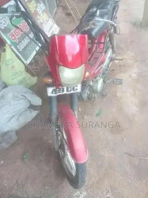 Singer Safari 2019