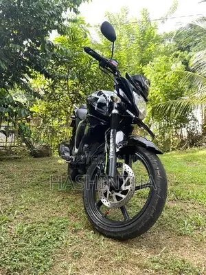 Yamaha FZs V2 2019