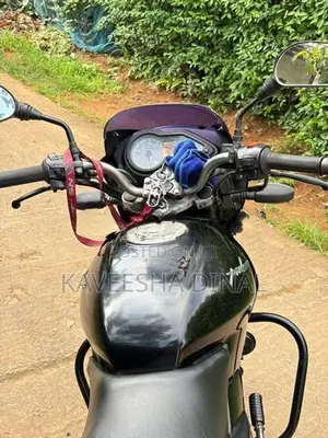 Bajaj Pulsar 150 2010