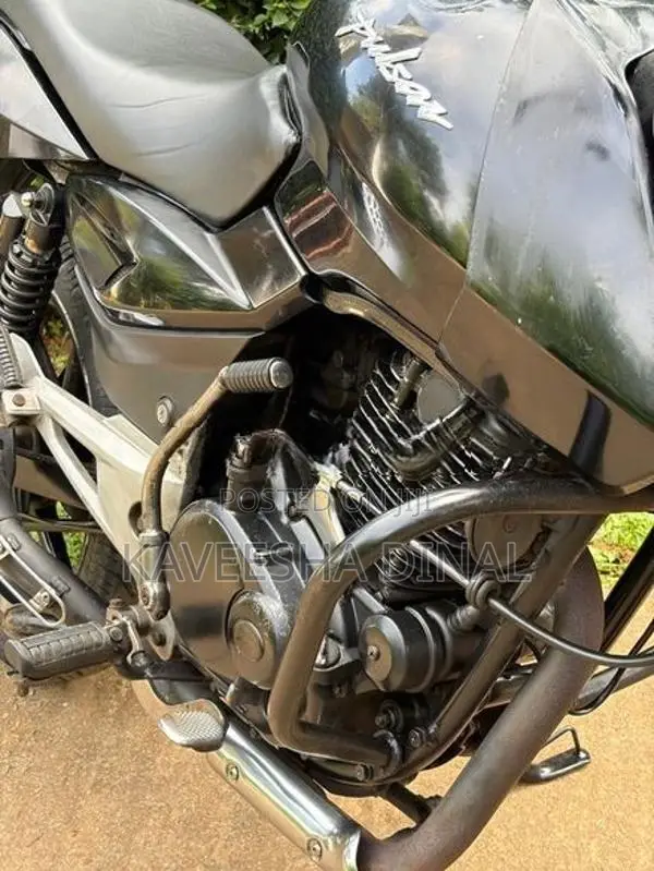 Bajaj Pulsar 150 2010