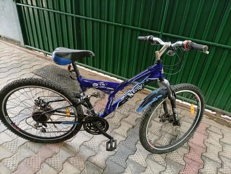 DSI Bicycle