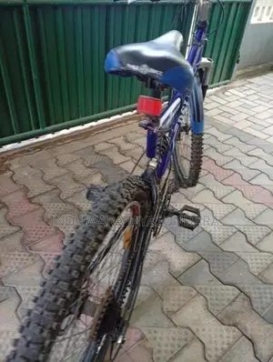 DSI Bicycle