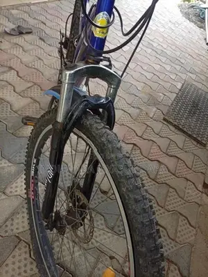 DSI Bicycle