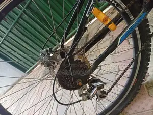 DSI Bicycle