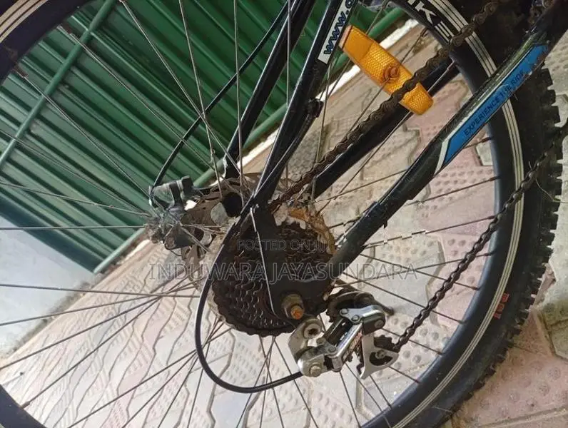 DSI Bicycle