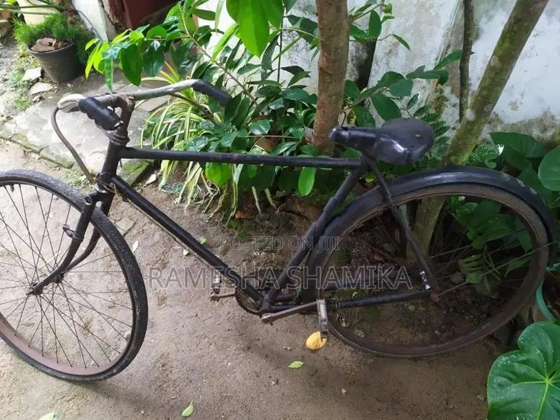 Bicycle