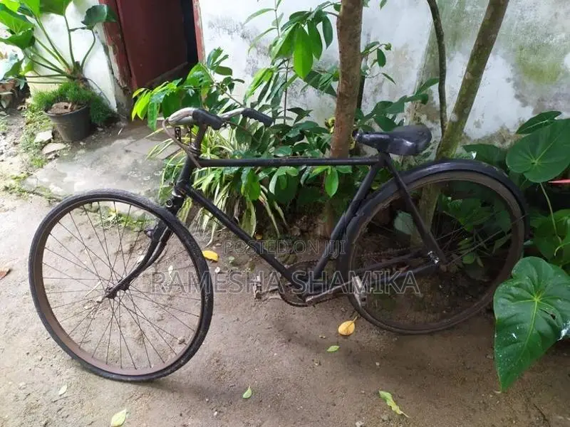 Bicycle