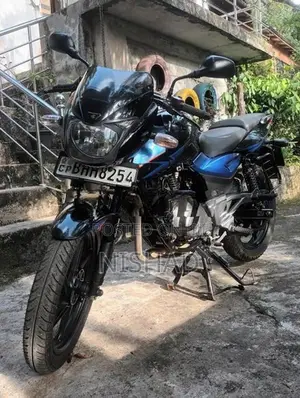 Bajaj Pulsar 150 Twin Disk 2019
