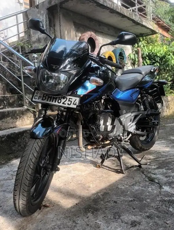 Bajaj Pulsar 150 Twin Disk 2019