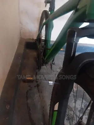 Mountain Cycle