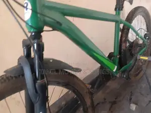 Mountain Cycle