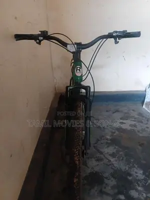 Mountain Cycle