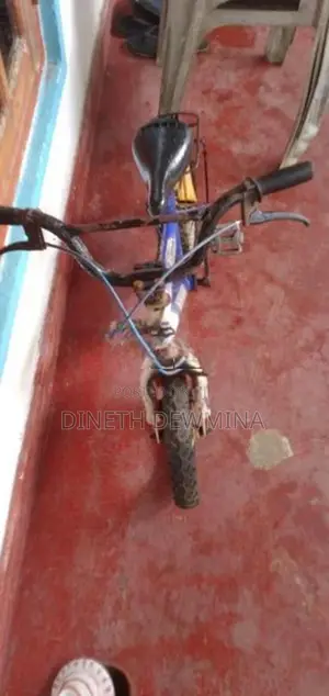 Kids Bicycle