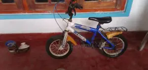 Kids Bicycle