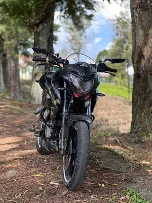 Bajaj Pulsar NS200 2017