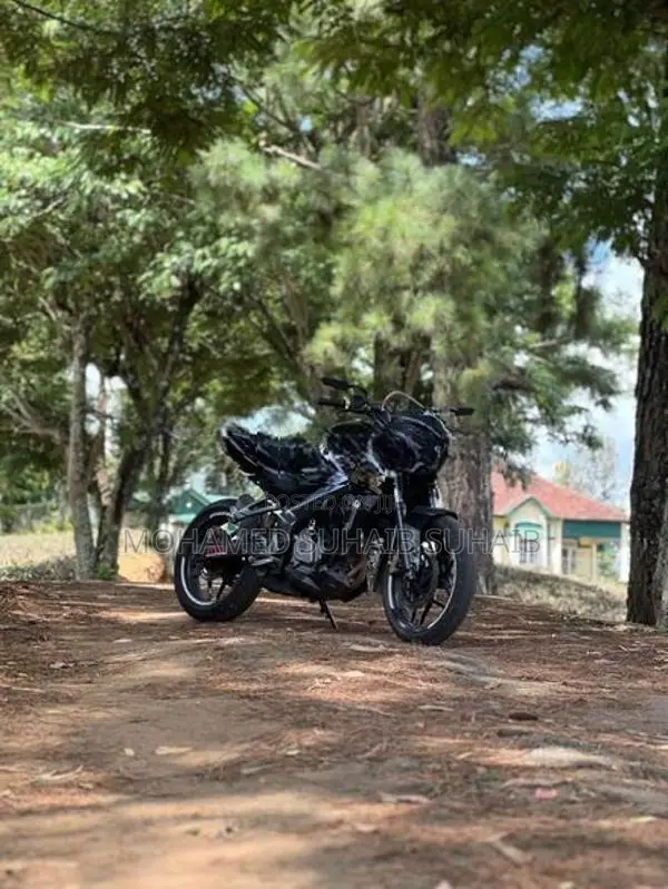 Bajaj Pulsar NS200 2017