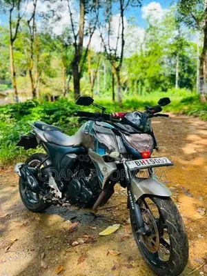 Yamaha FZs V2 2019