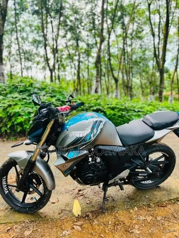 Yamaha FZs V2 2019