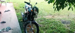 Bajaj CT100 2024