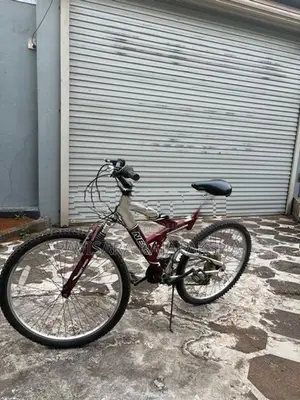 Mountain Bicycle