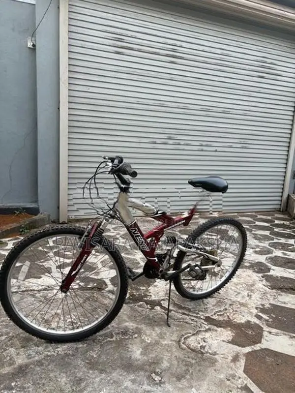 Mountain Bicycle