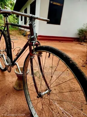 Raleigh Bicycle