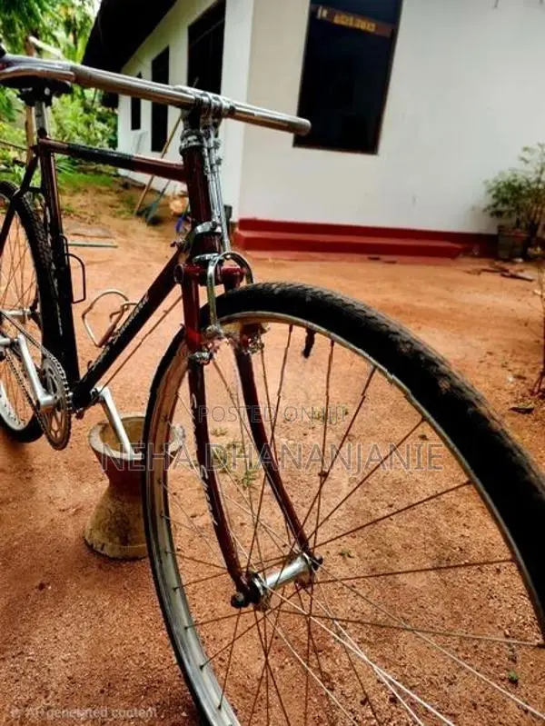 Raleigh Bicycle