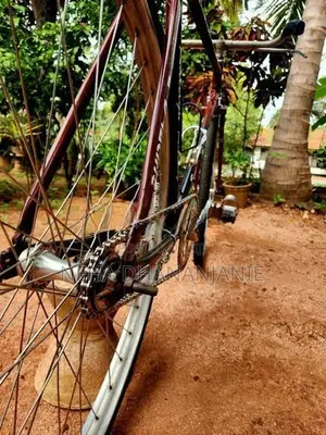 Raleigh Bicycle
