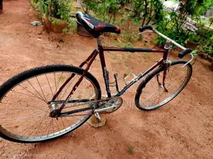 Raleigh Bicycle