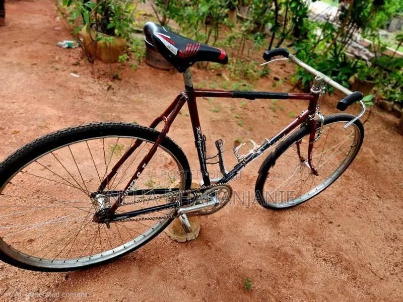 Raleigh Bicycle