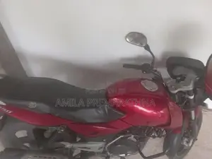 Bajaj Pulsar 150 2010