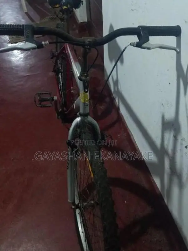 Lumala Bicycle