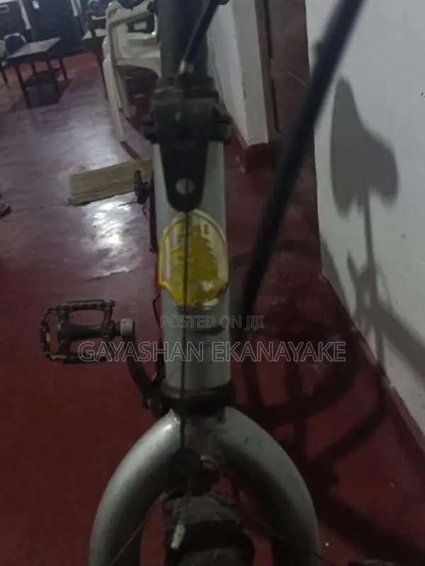 Lumala Bicycle