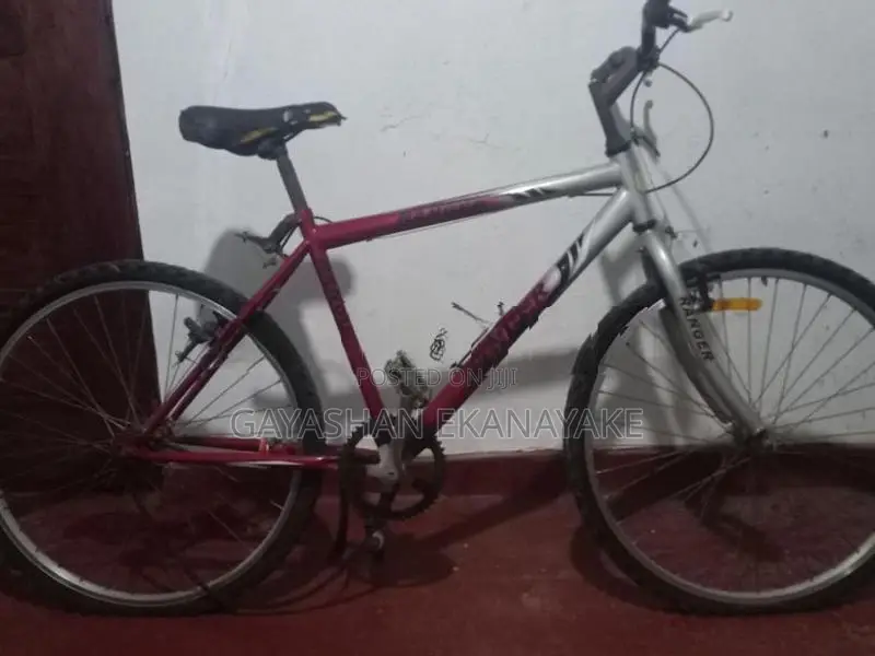 Lumala Bicycle