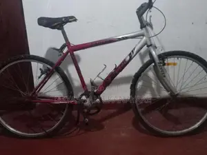Lumala Bicycle