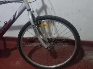 Lumala Bicycle