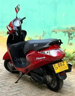Hero Pleasure 2015