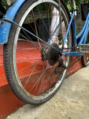 Japan Bicycale