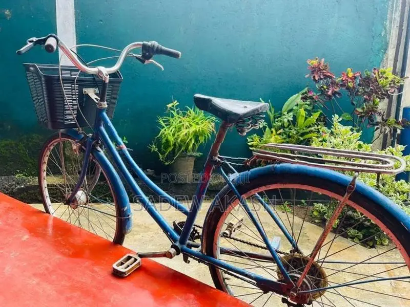 Japan Bicycale