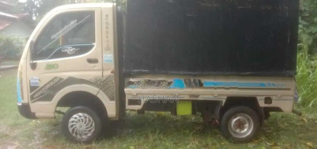 Tata Ace 2013