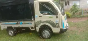 Tata Ace 2013