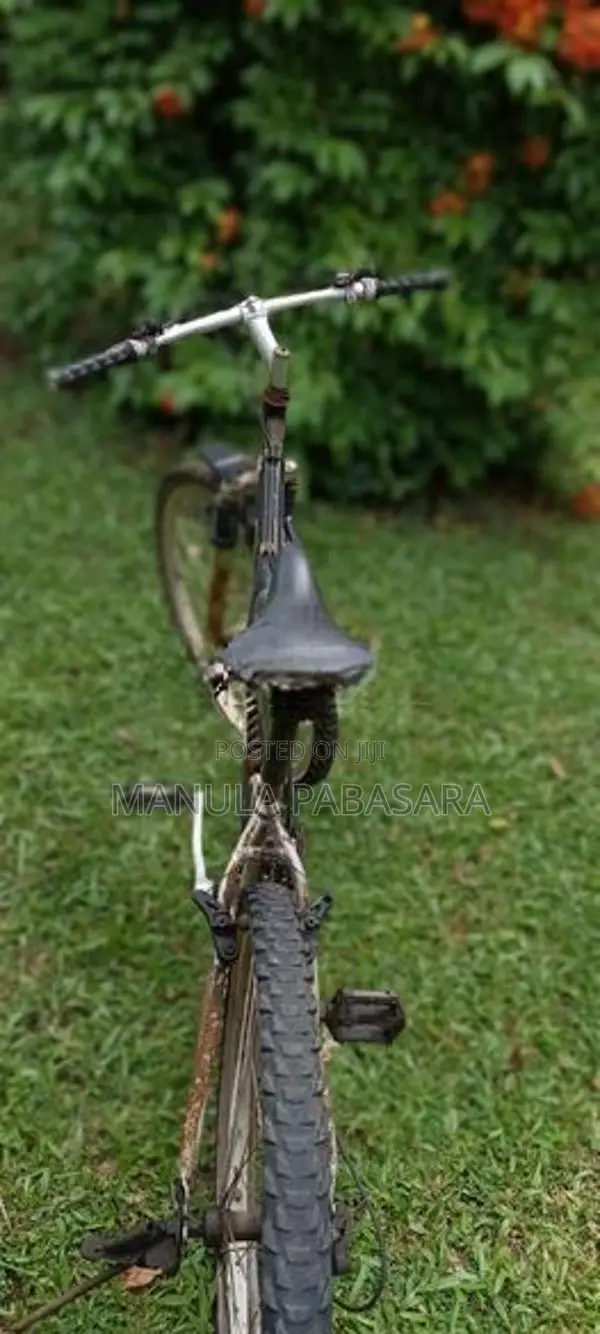 Kenstar Ken Star Cycle