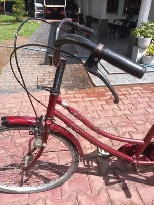Japan Ladies Bicycle