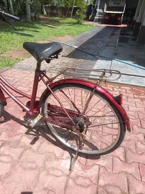 Japan Ladies Bicycle