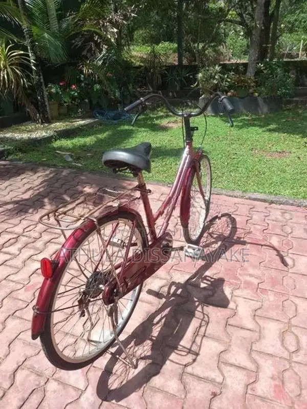 Japan Ladies Bicycle