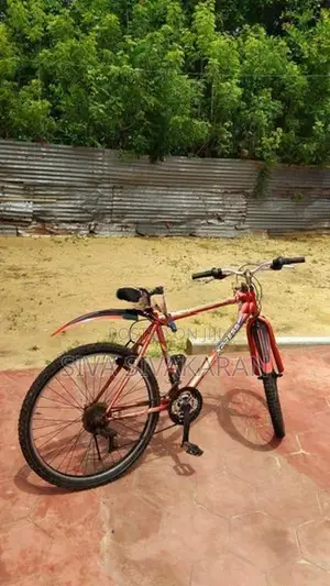 Lumala Bicycle