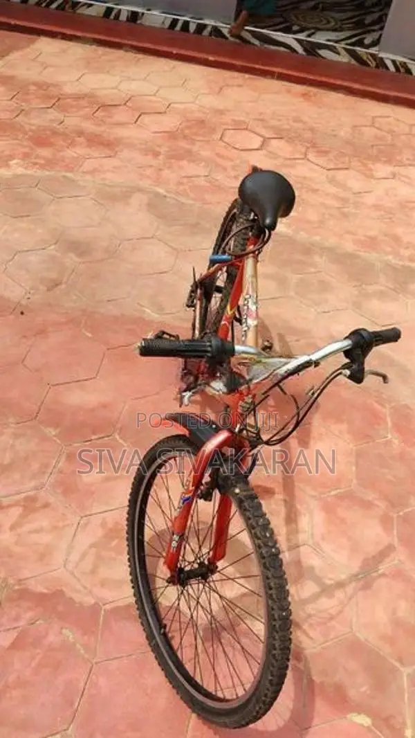 Lumala Bicycle