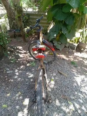 Cannondale රුපියල 30000කට මෙම පාපැදිය